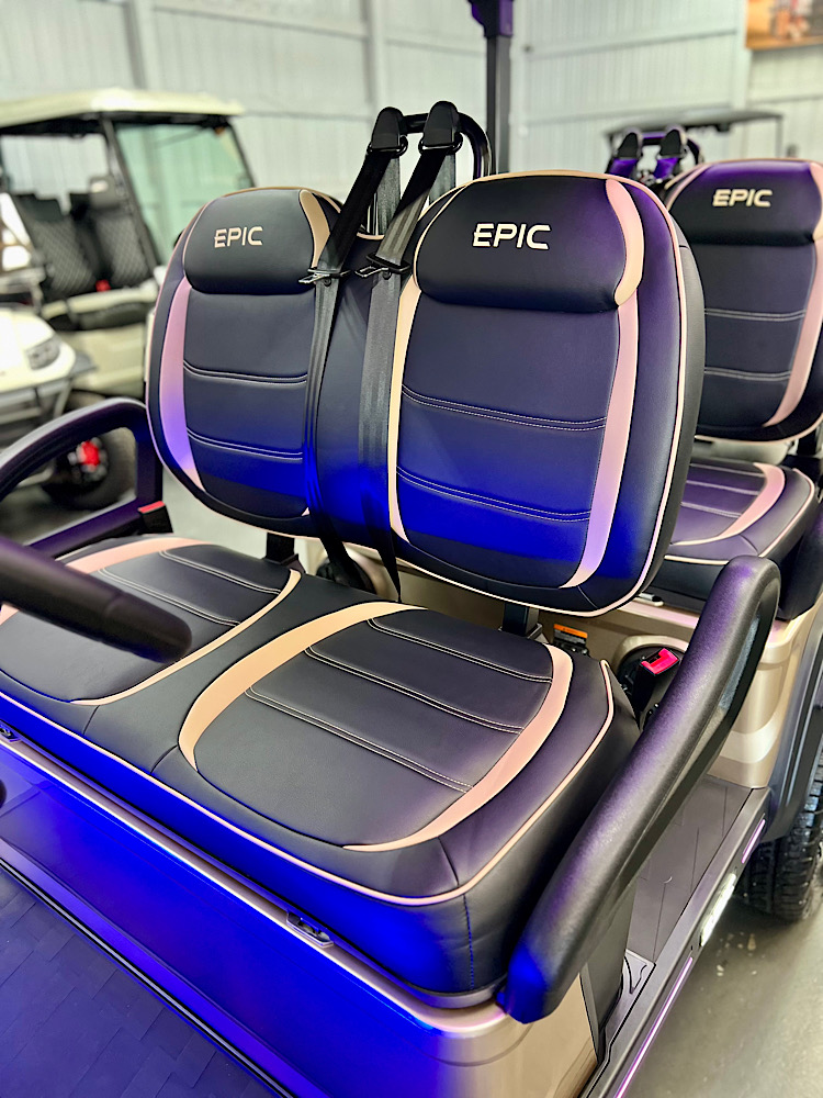 2026 EPIC E40FX - Metallic Cashmere - Image 10